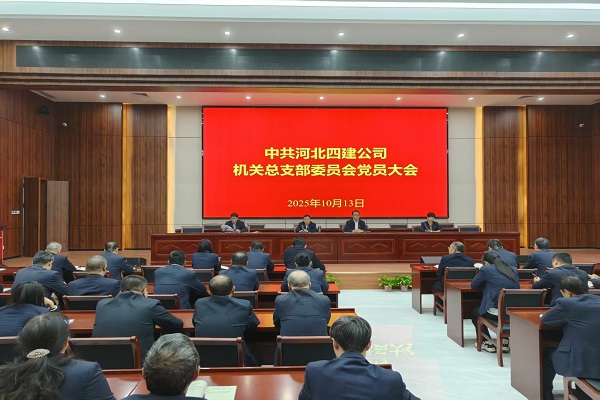 公司機(jī)關(guān)黨總支圓滿完成換屆選舉工作